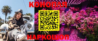 каннабис Кингисепп