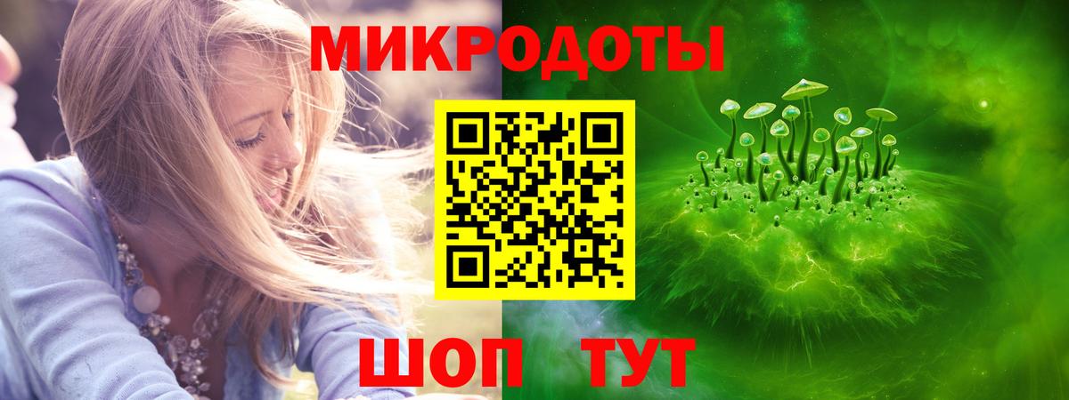 Пугачёв  Галлюциногенные грибы Psilocybe  Вход с VPN 