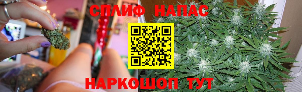 Каннабис Bruce Banner Пугачёв